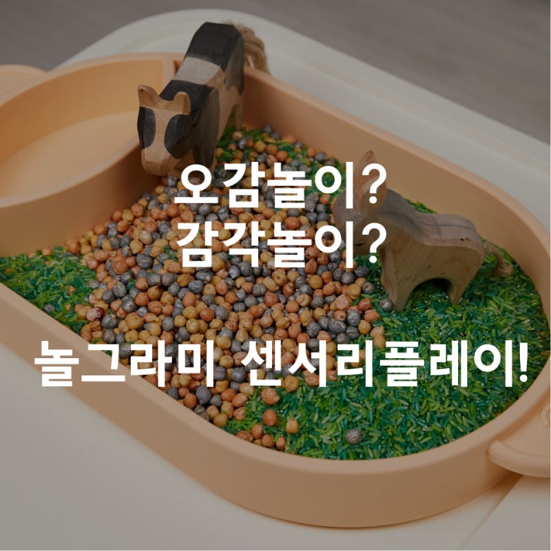 블로그 후기 사진