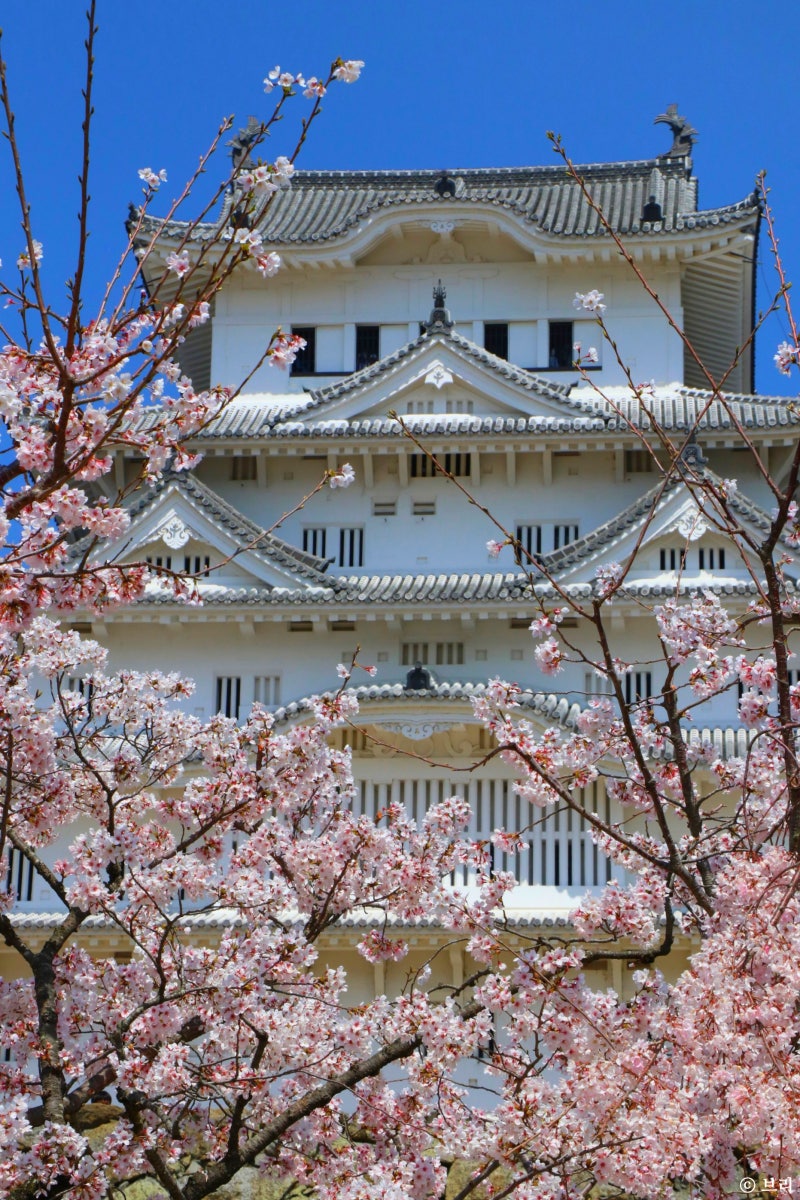 일본 히메지성 여행 벚꽃 코코엔 코인락커 : 네이버 블로그