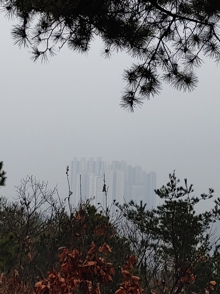 오늘아침,망현산에서(20240105) 오늘아침,망현산에서(20240105)