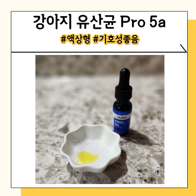 Pro5a 유명한 강아지 유산균 한 병 직접 먹여본 후기 Pro5a 유명한 강아지 유산균 한 병 직접 먹여본 후기