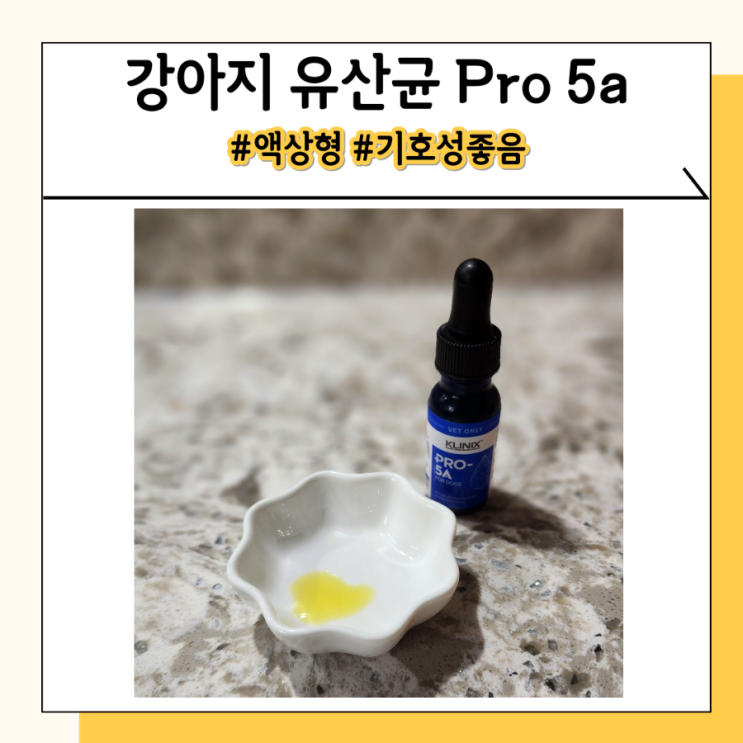 Pro5a 유명한 강아지 유산균 한 병 직접 먹여본 후기