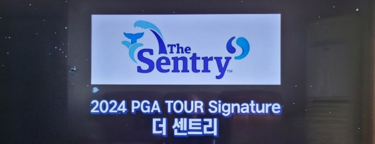 2024,PGA <b>개막전</b> 더 센트리1R 결과. <b>선두</b>권 대혼전(사히스... 