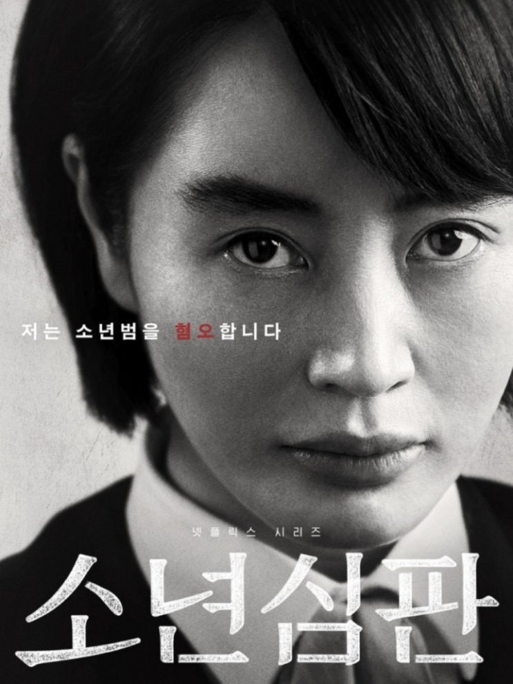  드라마 리뷰 : 소년심판