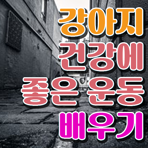  반려견운동지도사 1급 자격증 시험 알고 싶은 정보 여기에 ~