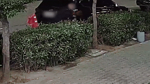 [단독] <b>이재명</b> <b>습격범</b>, 범행 장소 10분 거리 모텔에... 