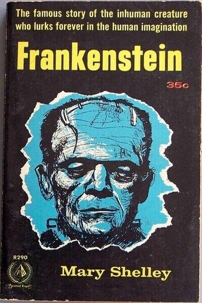 프랑켄슈타인의 괴물: 고립, 복수, 살인의 그림자, 우리는 무엇을 보는가?