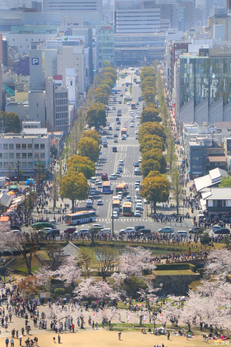 일본 히메지성 여행 벚꽃 코코엔 코인락커 : 네이버 블로그