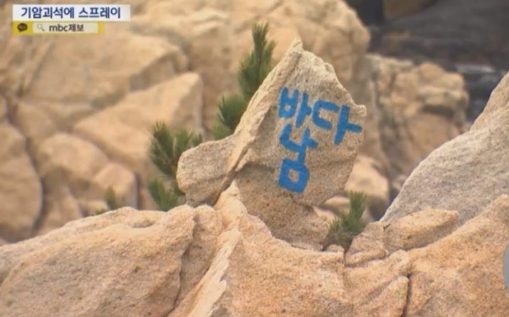 울산 <b>대왕암공원</b> 바다남 낙서