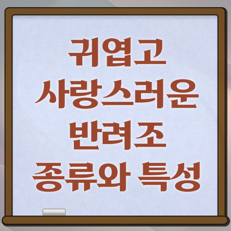  반려조관리사 자격증 취업 여기서 확인하세요 .