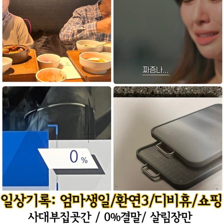  엄마생신 사대부집곳간/환연3/디비휴엔딩/마리슈타이거도마