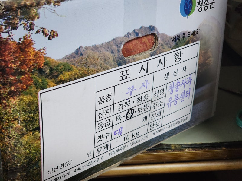 맛보장 청송사과! 청송사과유통센터 방문 구입후기
