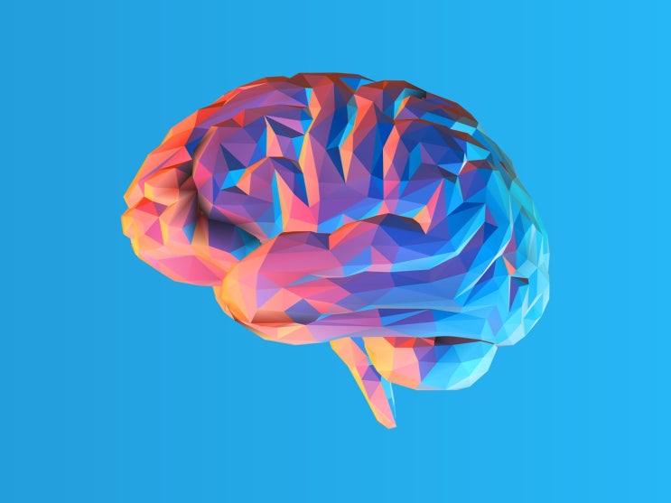 뇌의 기억 용량은 얼마나 될까?