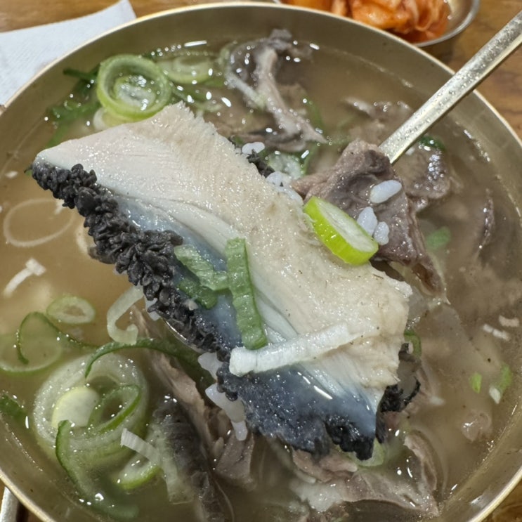  [하동관] 여의도 국밥 맛집 깔끔하고 맛좋은 (비싼) 한우곰탕