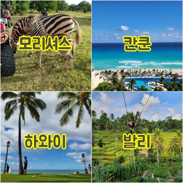  직접 가본 신혼여행 휴양지 추천 및 비교, 어디로갈까?(모리셔스/칸쿤/하와이/발리)