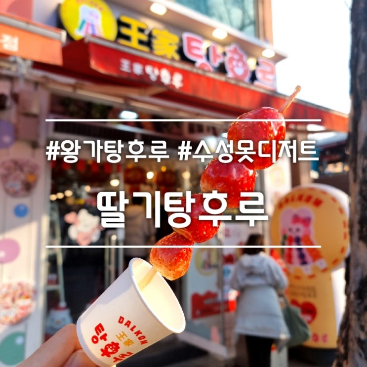  딸기탕후루 || 달콤 왕가탕후루 수성못 디저트 추천