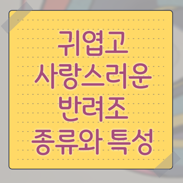  반려조관리사 1급 자격증 취득 후기 정리해봤어요 !