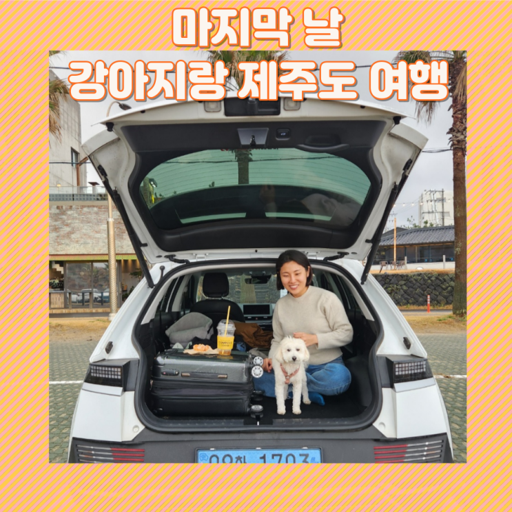  3일차 강아지와 제주도 동쪽 여행_ 강아지 비옷 만드는 법, 함덕 해수욕장 숨겨진 오션뷰 차박 장소