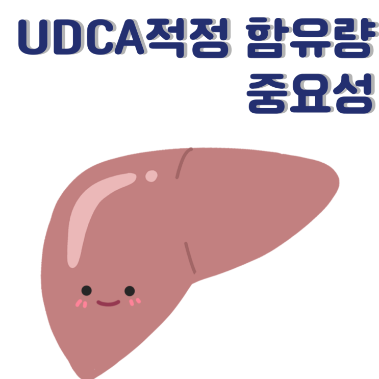 UDCA 간영양제 적정 함유량과 중요성 알아보기