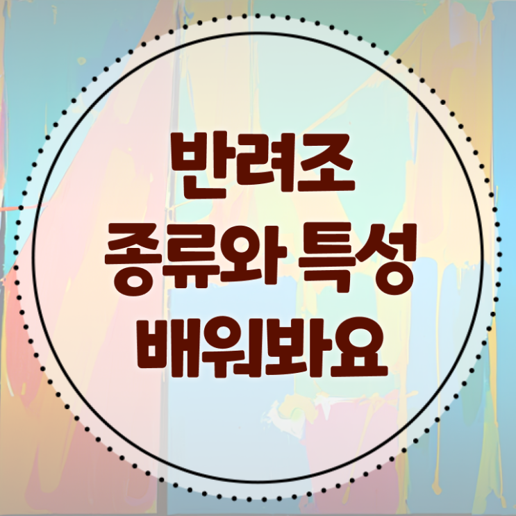  반려조관리사 자격증 빠른 취득 여기서 확인하고 가세요 ~