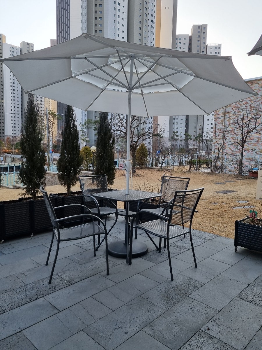 첼로 cielo 사진 6
