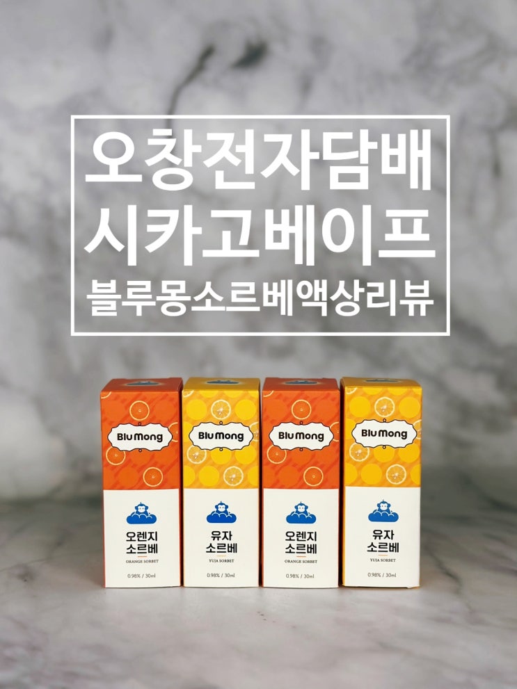  오창전자담배 시카고베이프 블루몽 소르베 액상 리뷰
