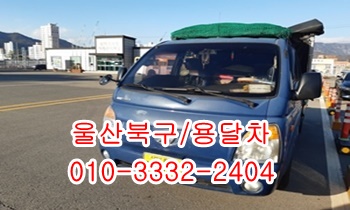 울산북구용달 입실 제주도 모화 울릉도 외동 불국사. 울산북구용달 입실 제주도 모화 울릉도 외동 불국사.