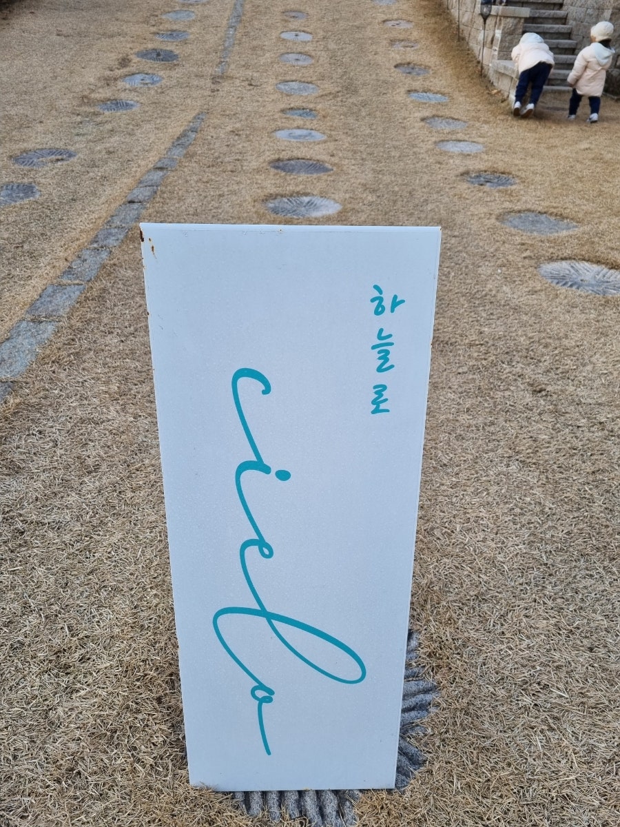첼로 cielo 사진 2