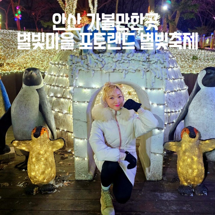  안산 별빛마을포토랜드 별빛축제 가볼만한곳 주차 입장료