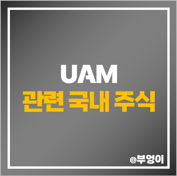 UAM 관련주 대장주 한국한공우주 주식 KT 제주항공 주가 UAM 관련주 대장주 한국한공우주 주식 KT 제주항공 주가