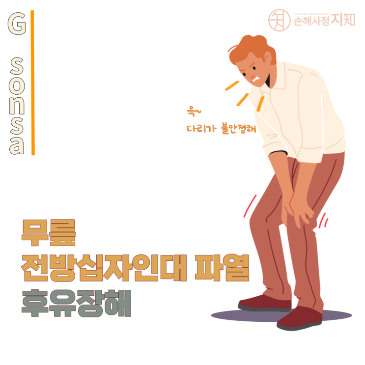 [보상해유] 9. 무릎 전방 십자인대 파열 후유 장해