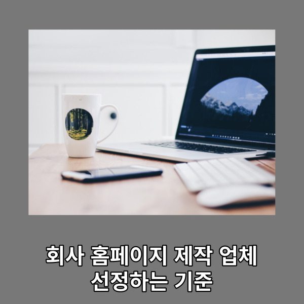  회사 홈페이지 제작 업체 선정하는 기준