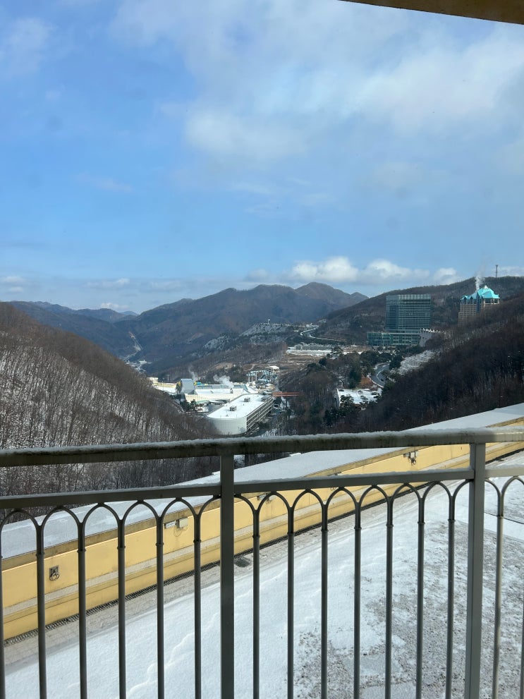  강원도 정선군 하이캐슬리조트 2박 내돈내산 후기