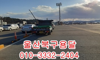 울산북구용달 제주도 입실 모화 울릉도 불국사 외동. 울산북구용달 제주도 입실 모화 울릉도 불국사 외동.