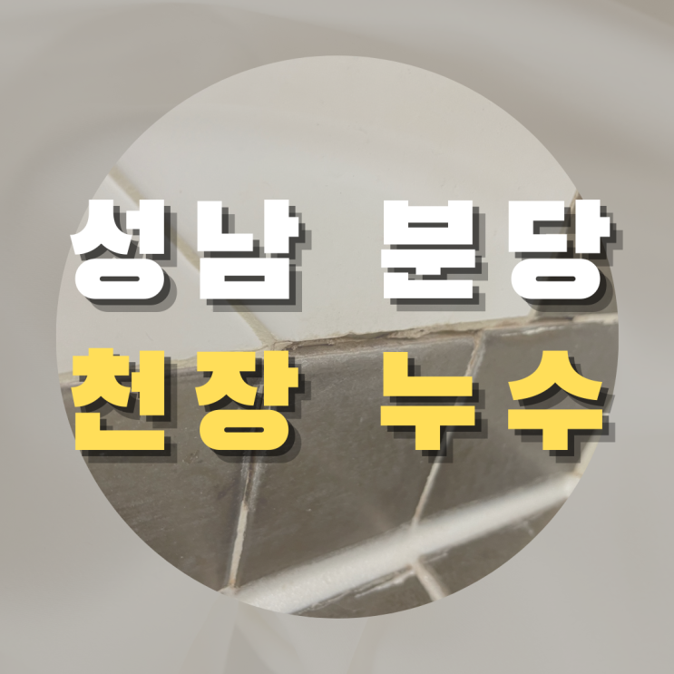  성남 분당 천장 누수 - 화장실 천장에 하얀 고드름이!!