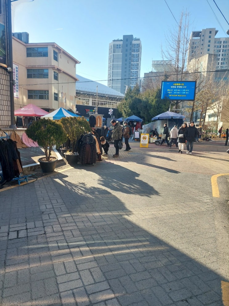  풍물시장에서 위스키,꼬냑,블랜디드 올드바틀 득템(2024.1.06)