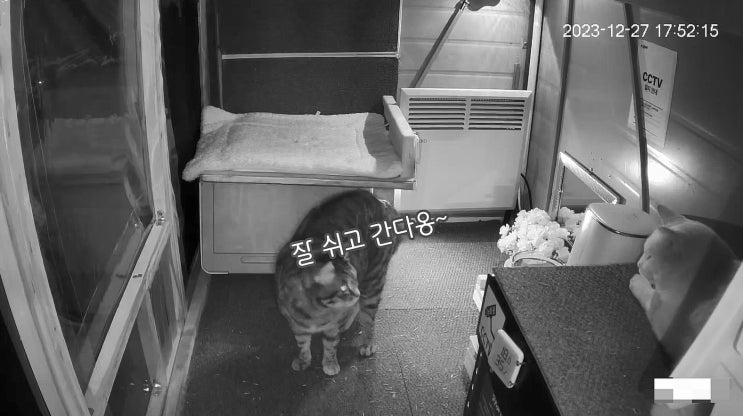  옥수와 수마니가 쉼터에서 함께 쉬는 것도 일상이 되었다 : 유기묘옥수