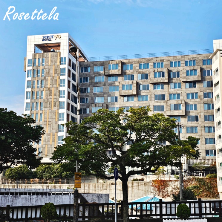  제주 노블피아호텔 서귀포 디럭스트윈 조식 올레시장 숙소