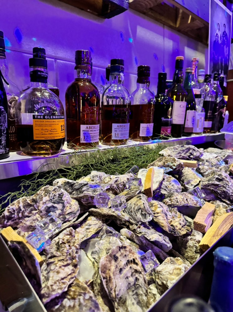  하남 스타필드 근처 맛집 댕크야드 생굴과 수제맥주가 맛있은 미사 애견동반 술집