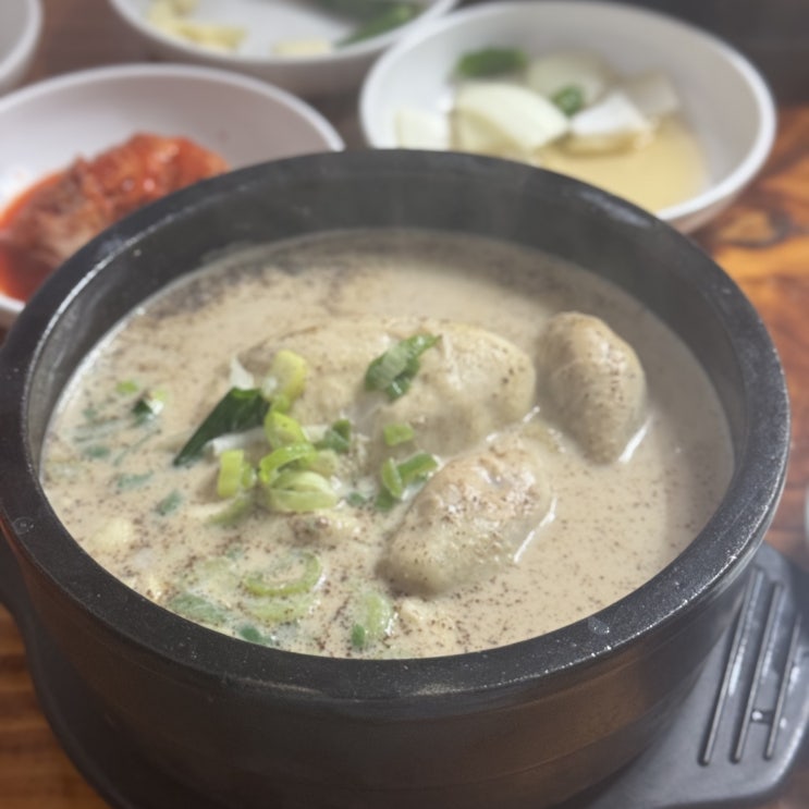  청주 분평동 맛집 "조도령삼계탕" 찐한 국물의 삼계탕 내돈내산 추천!!