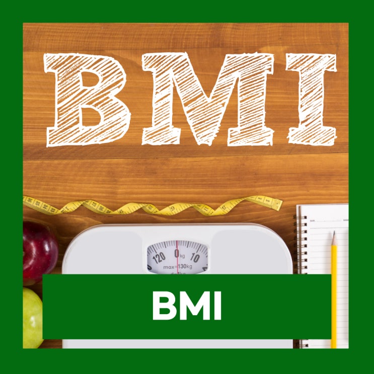  BMI 뜻 표준 지수 비만도 계산기 정확도