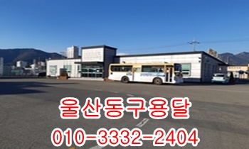 울산동구용달 양남 제주도 감포 울릉도 양북 불국사. 울산동구용달 양남 제주도 감포 울릉도 양북 불국사.
