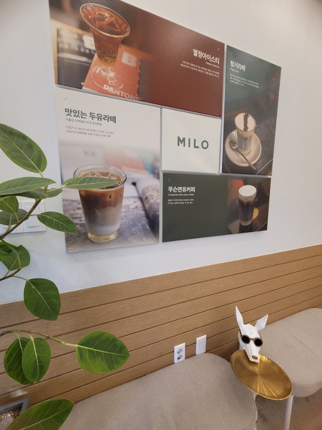 카페마일로 용호빌리브센트로점 사진 6
