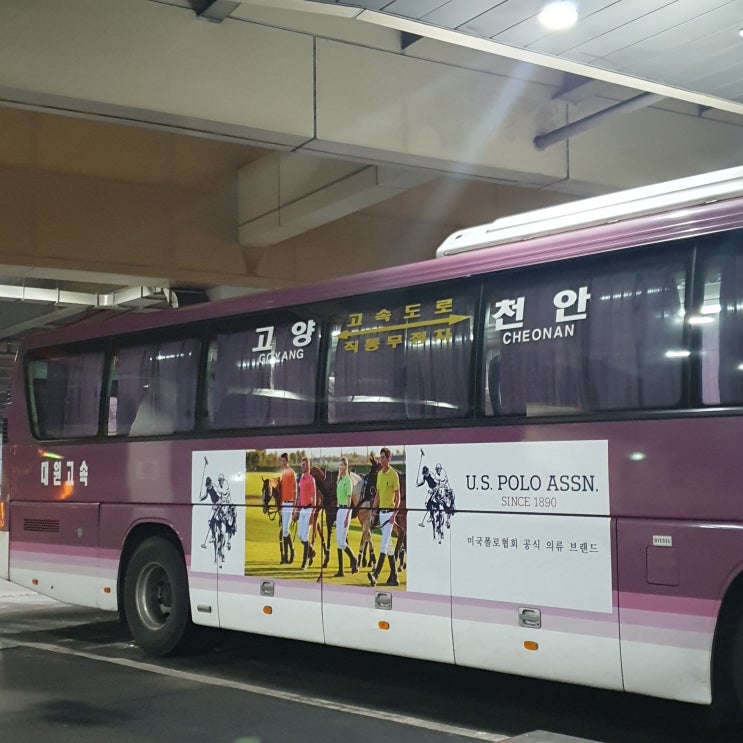  고양에서 천안 버스타고어플 /혼밥은 스벅