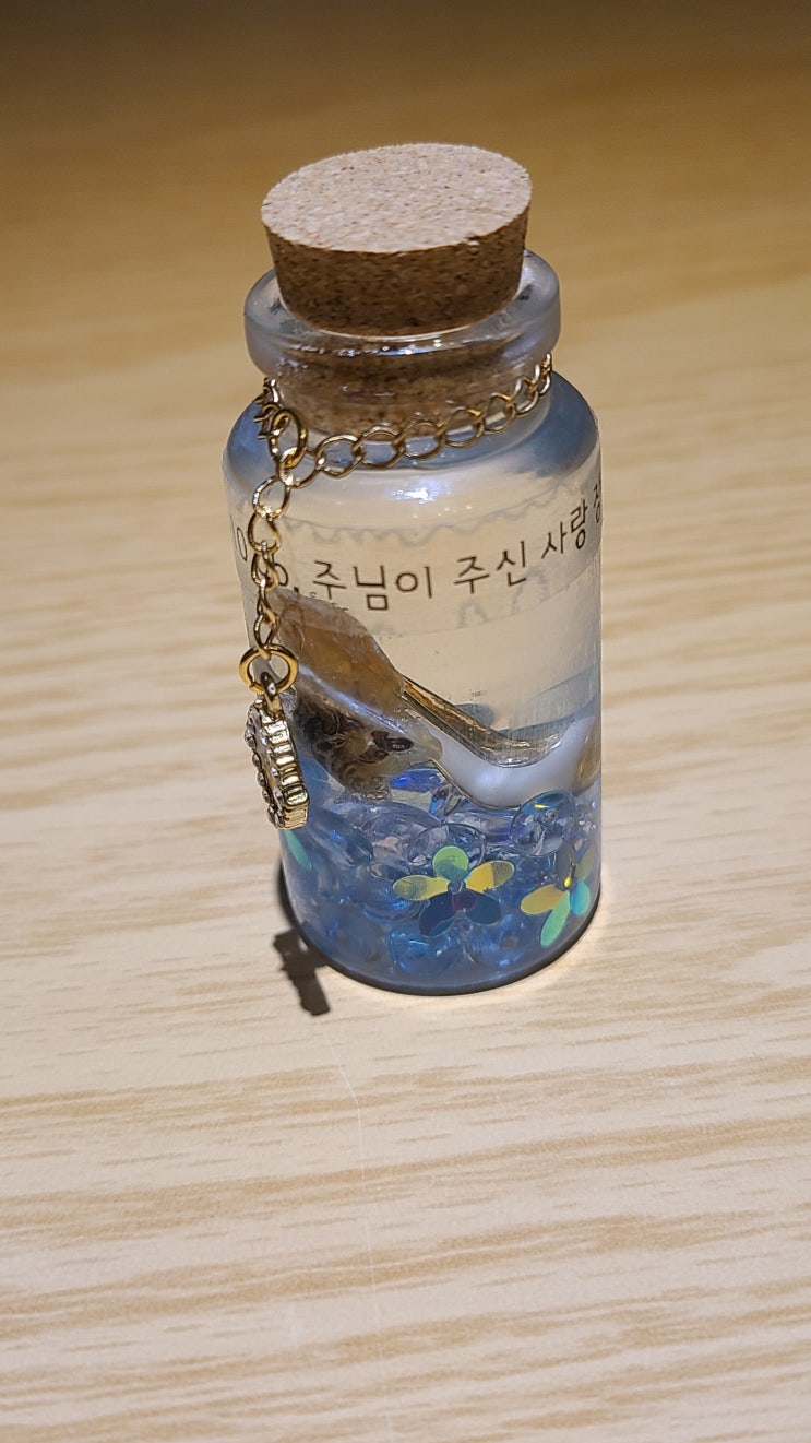  서울시 마곡에서 탯줄보관함인 [벨리보틀 탯줄보관 유리병] 입니다.