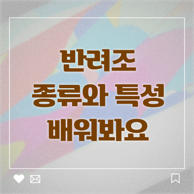  반려조관리사 자격증 발급기관 알려드립니다 !!!