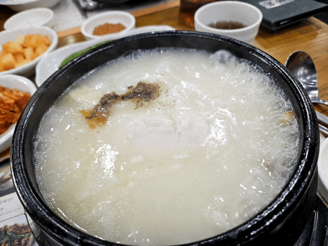  제주시 수목원야시장근처 몸보신하기 좋은 곳 "비원" 닭한마리가 통으로 들어간 삼계탕맛집 추천