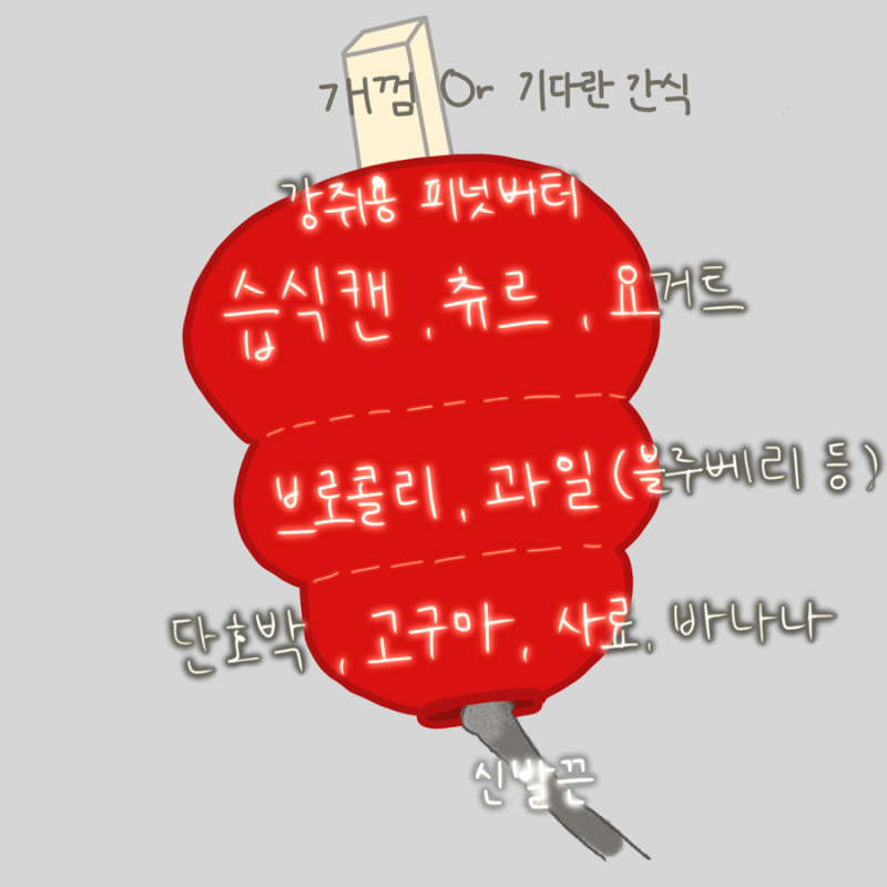 [강아지 분리불안 아이템] ‘콩토이’ 레시피