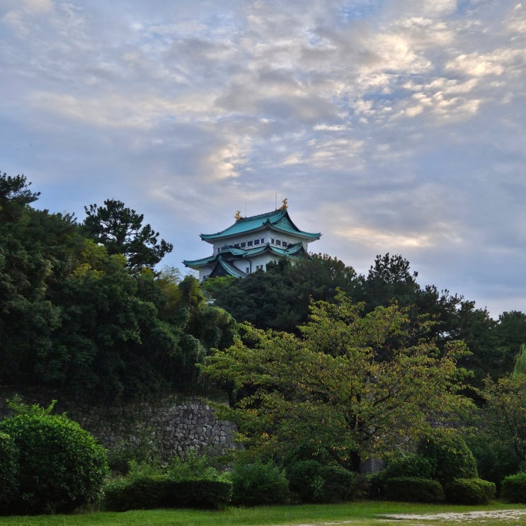 [일본 나고야 여행] 나고야성이 보이는 메이조공원 산책 추천