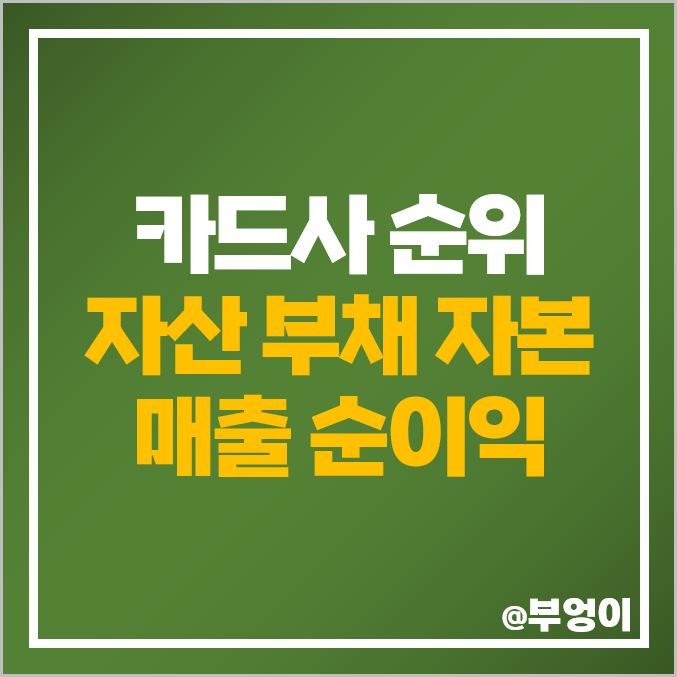 카드사 순위 국내 신용 카드회사 종류 순이익 자산 부채 카드사 순위 국내 신용 카드회사 종류 순이익 자산 부채