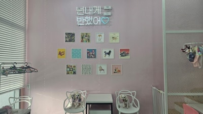 사진 3